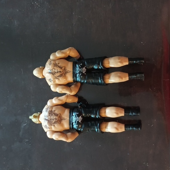 Wrestler - Picture 2 of 4